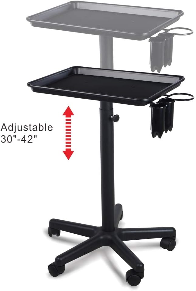 Aluminum Salon Tray with Accessory Caddy Rolling Trolley E709