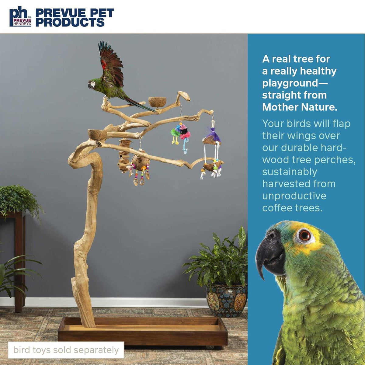 Coffeawood Tree Style Floor Stand Z595