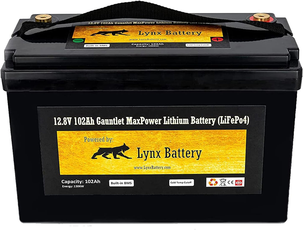 12V 100Ah Lithium Iron Phosphate LiFePO4 Battery with BMS N897