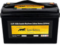 12V 100Ah Lithium Iron Phosphate LiFePO4 Battery with BMS N897