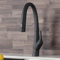 Matte Black Pull Down Kitchen Faucet V53926