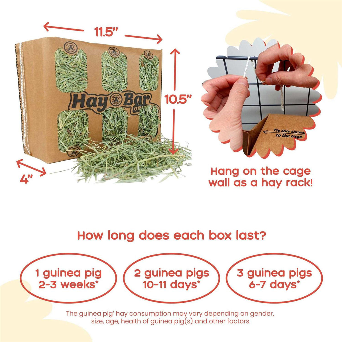 Timothy Hay for Guinea Pigs Rabbits F334