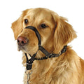 Dog Head Collar No Pull Training Tool O975