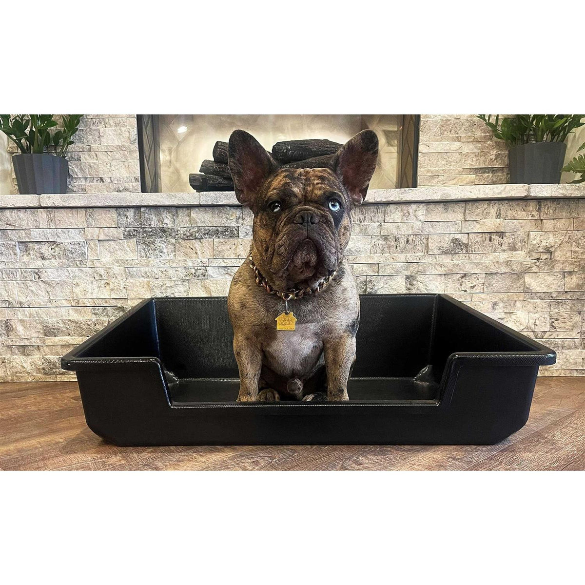 Extra Large Litter Box Z87319