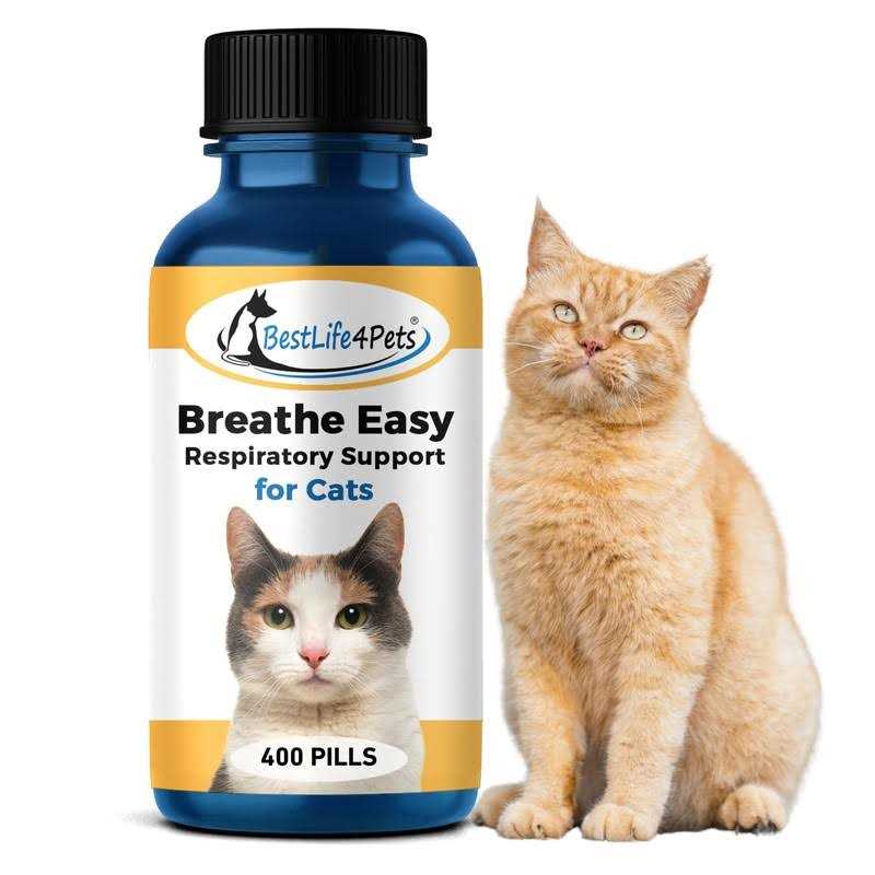 Cat Respiratory Support S91665