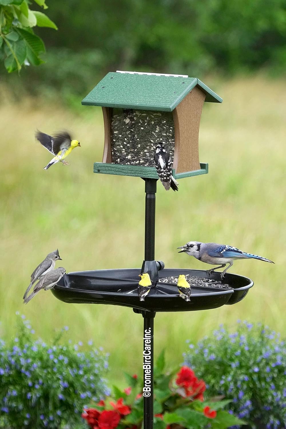 Pack of 2 Seed Catcher Tray for Wild Bird Feeders G660078