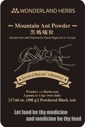 Wild Mountain Polyrhachis Vicina Extract Powder 500 Grams G8893