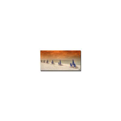 Photographic Print on Canvas H375
