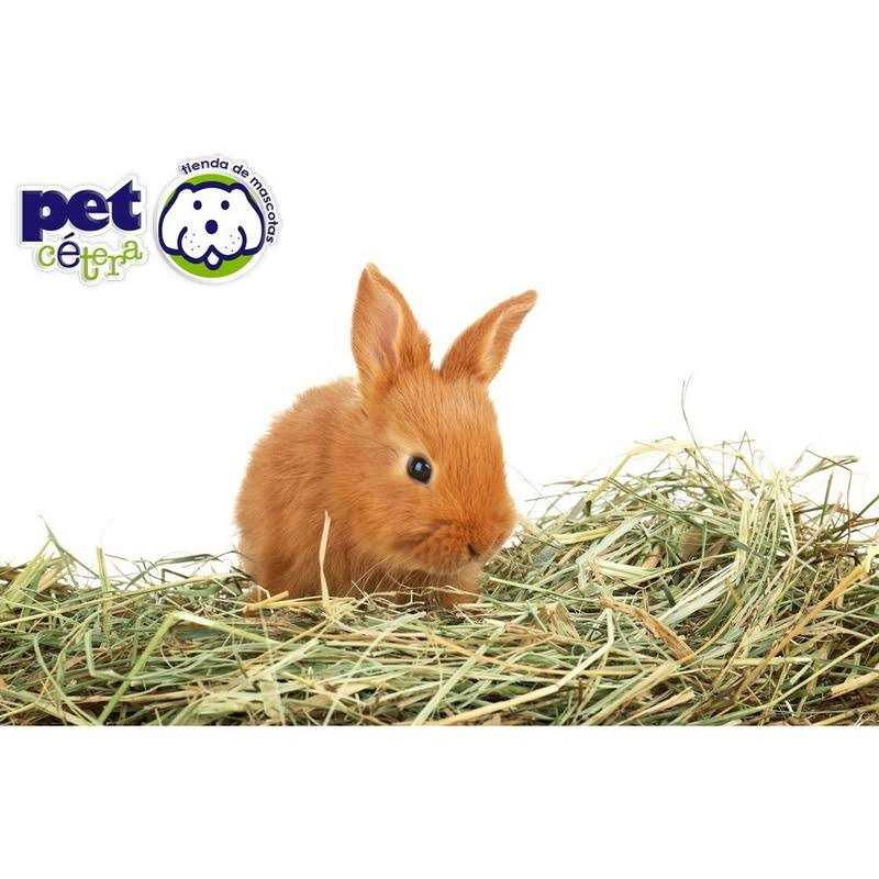 Timothy Rabbit Food H960125