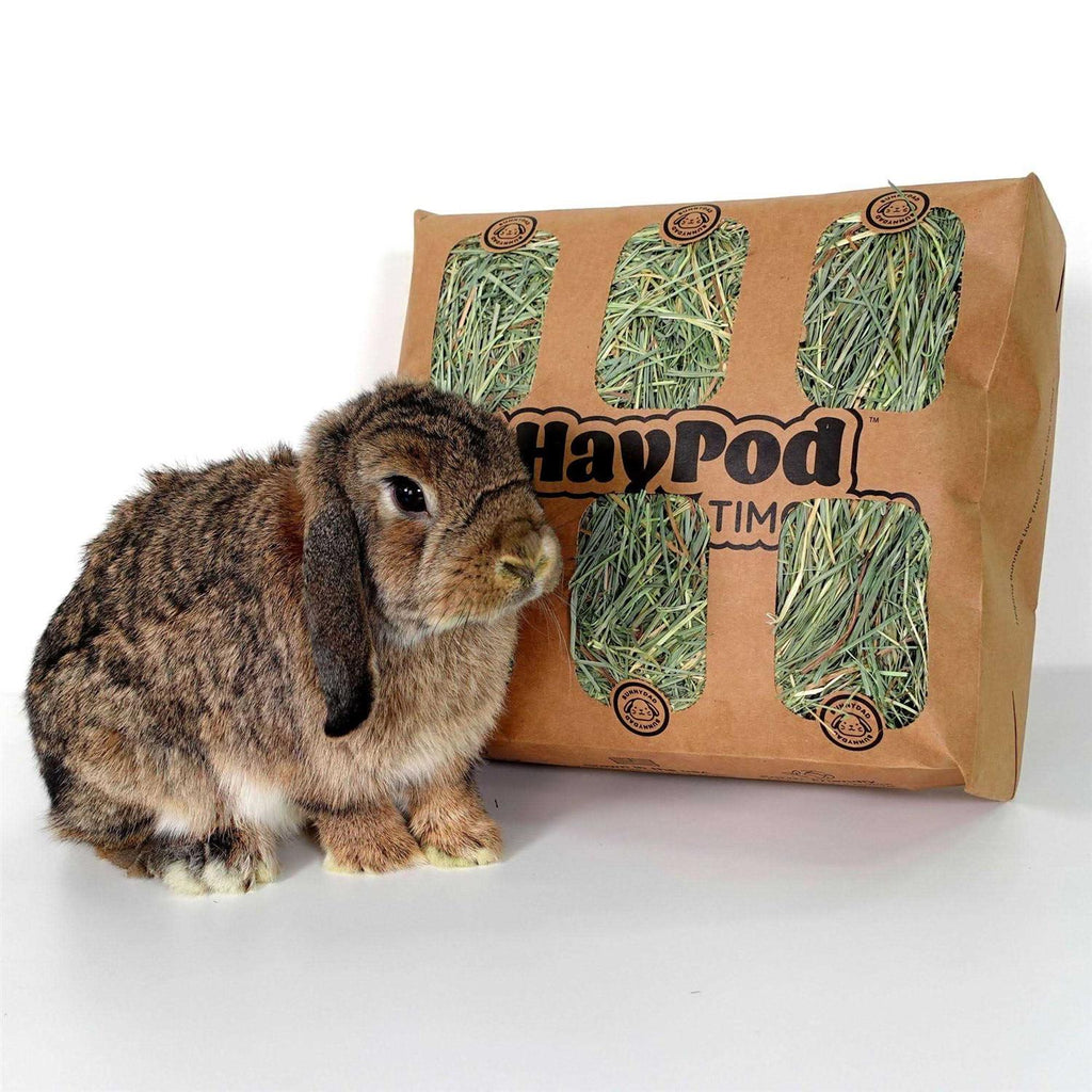 Timothy Hay for Guinea Pigs Rabbits F334