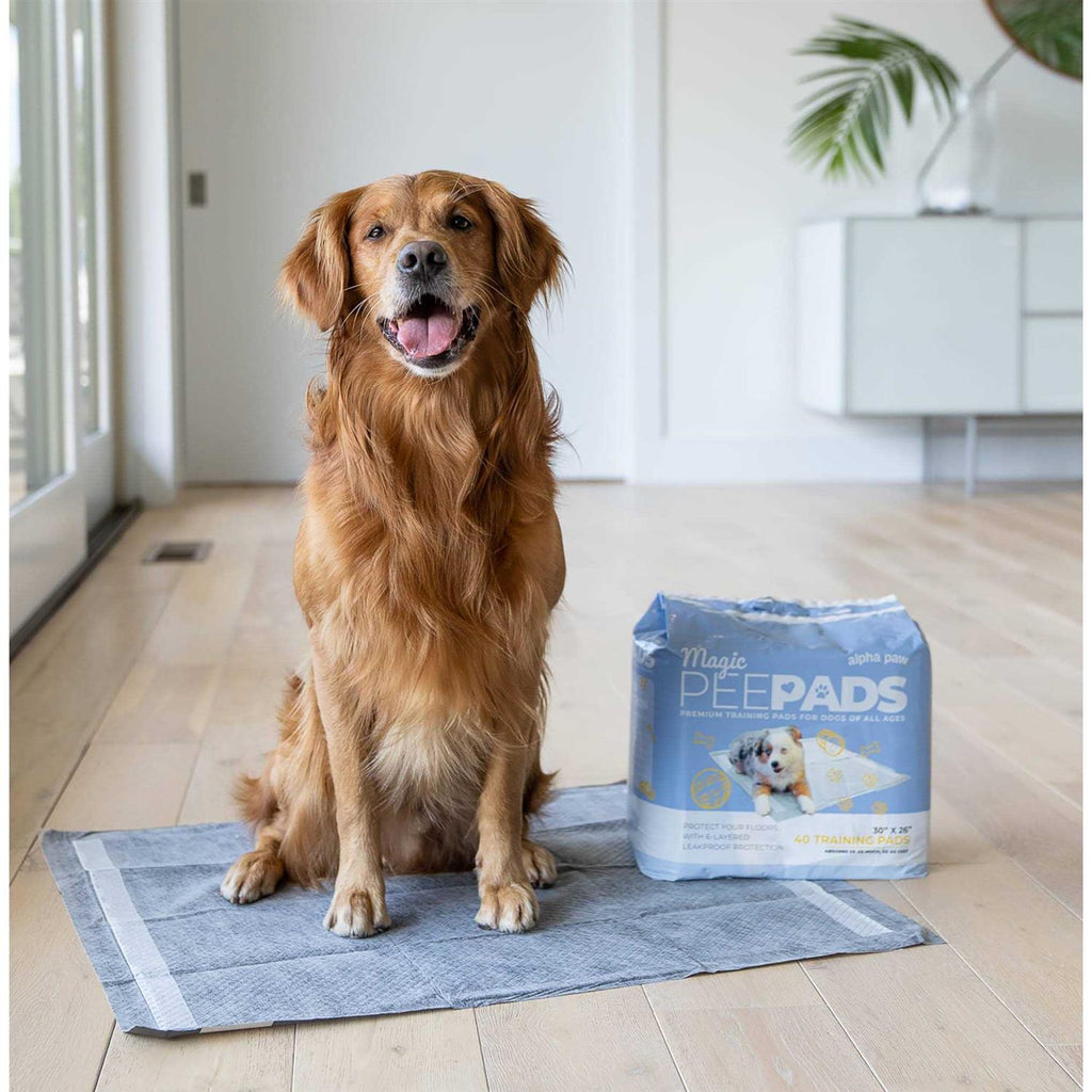Dog Pee Pads V87223