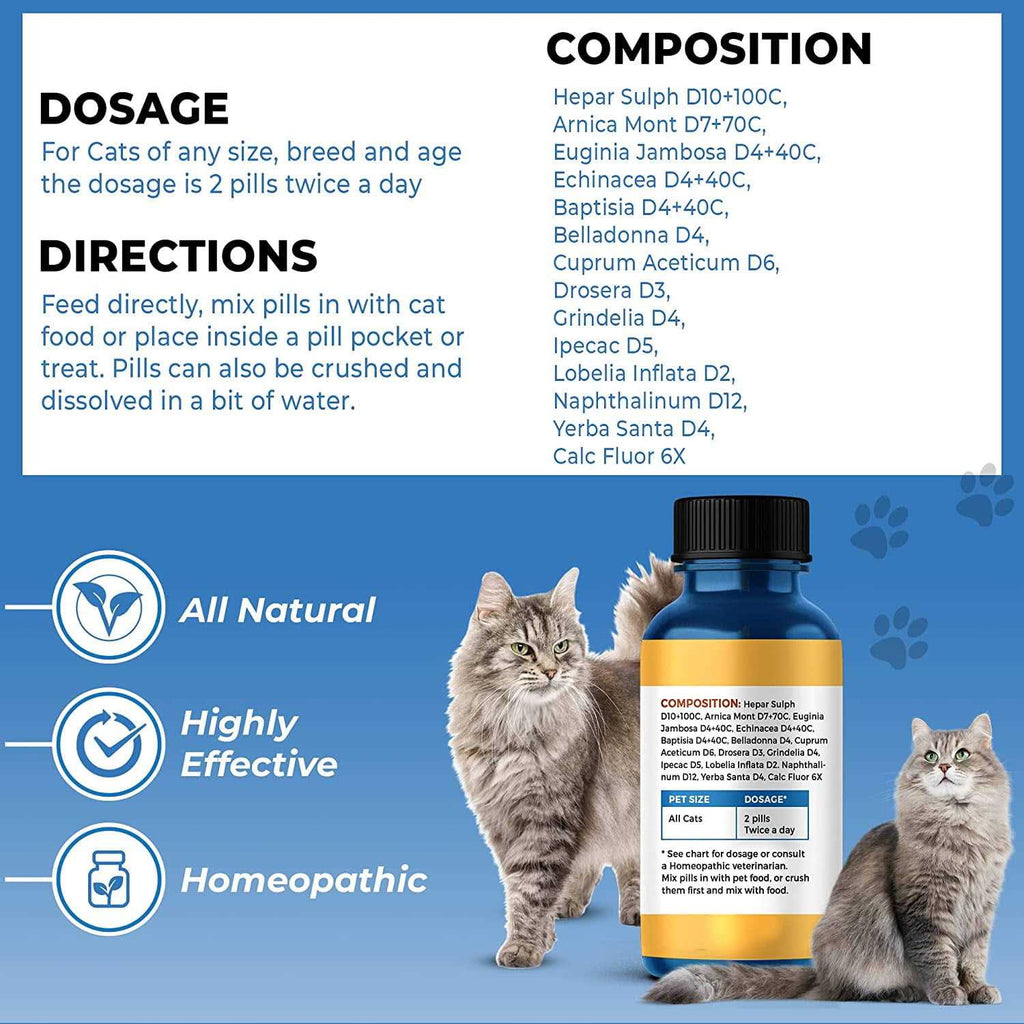 Cat Respiratory Support S91665