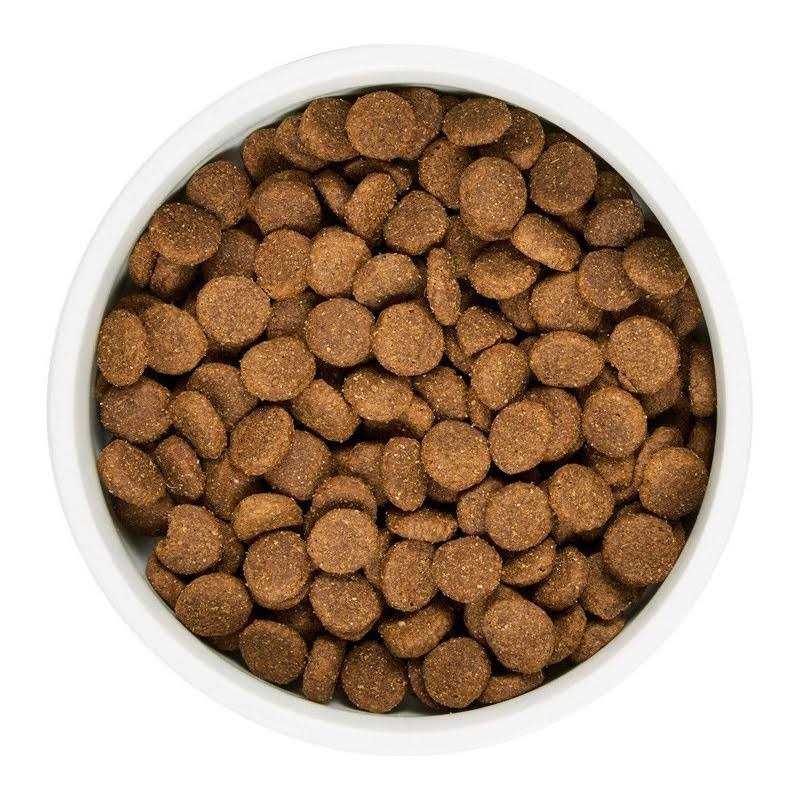 Grain Free Lamb and Lentil Dry Dog Food G806
