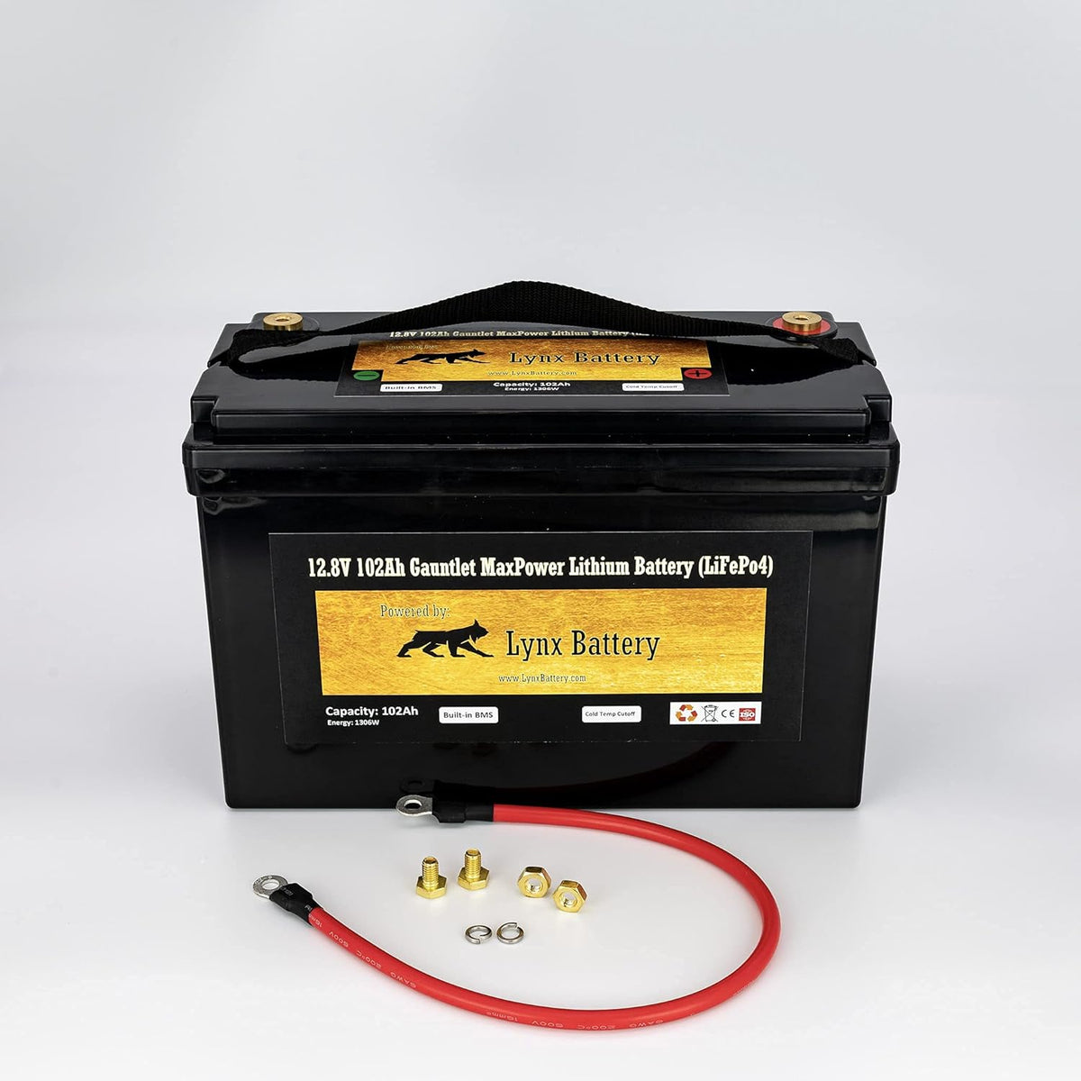 12V 100Ah Lithium Iron Phosphate LiFePO4 Battery with BMS N897