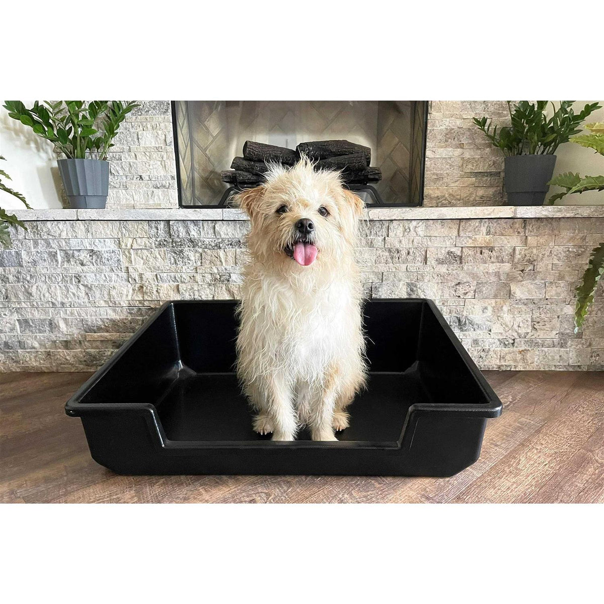 Extra Large Litter Box Z87319