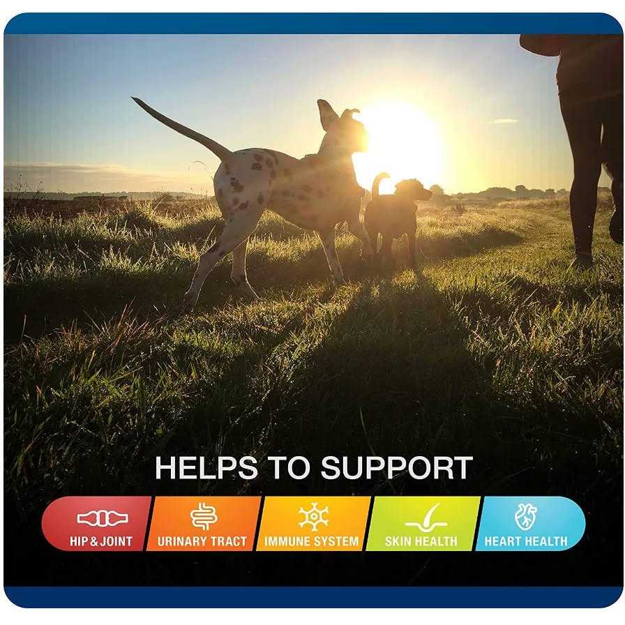 Soft Chews for Dogs M502754