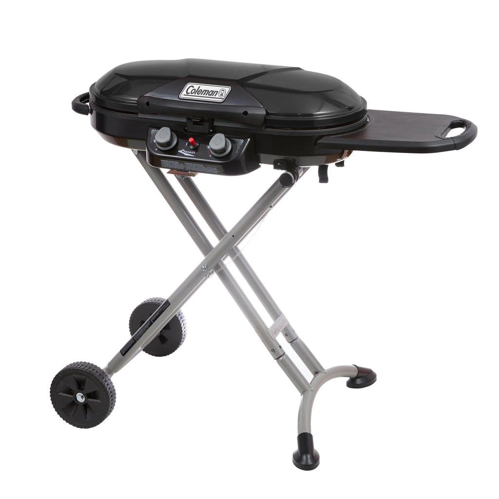 2 Burner Propane Gas Portable Grill J407178