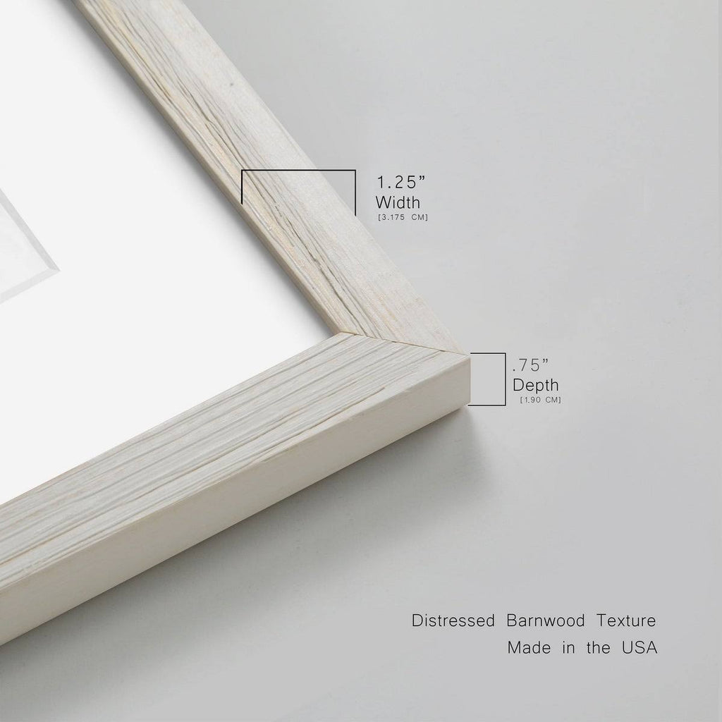 Framed Canvas C93693
