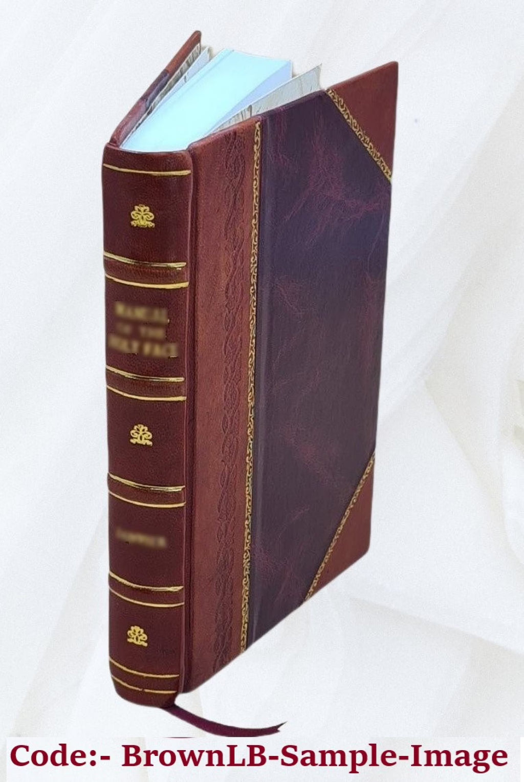 Leather Bound Book N178471