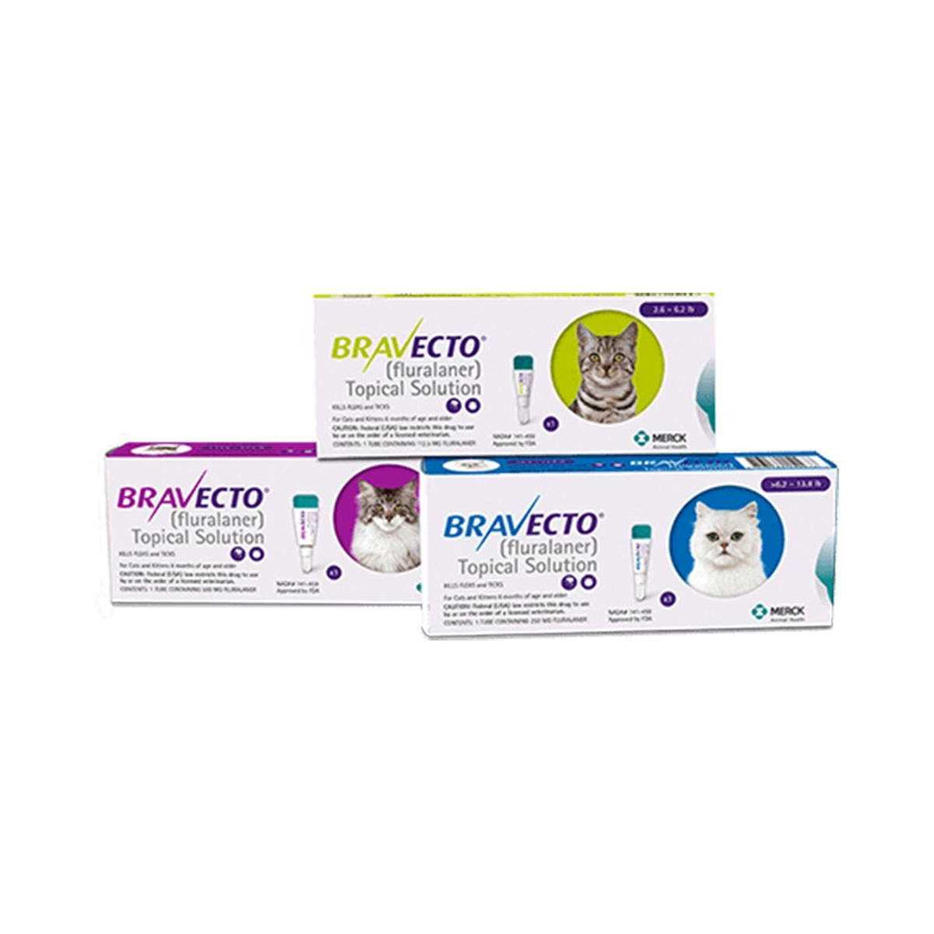 Topical Solution for Cats V155529