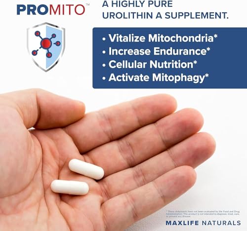 500mg Pure Urolithin A Supplement, 28 Capsules M4561