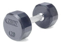 20lb Rubber Encased Dumbbell Q55483