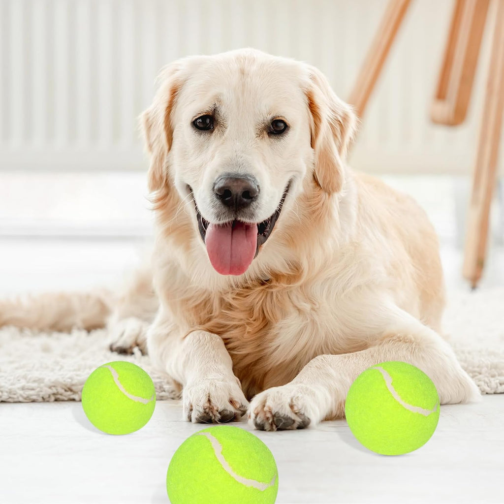 12 Pack 2inch Tennis Balls for Dogs C882466