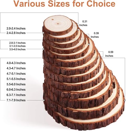 30 Pcs 2.4-2.8 Inches Natural Wood Slices H790