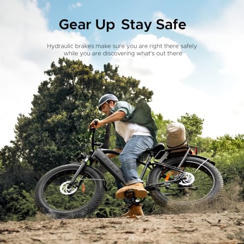 26" Fat Tire Electric Bike with 48V 16Ah Removable Lithium-Ion Battery B131563