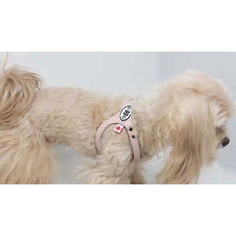 Pebble Grain Buddy Harness M290