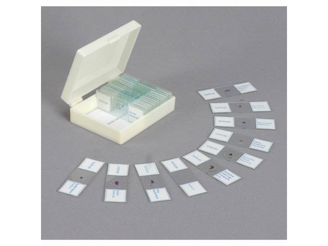 40X-640X Metal Body Glass Lens Student Microscope with ABS Case F201