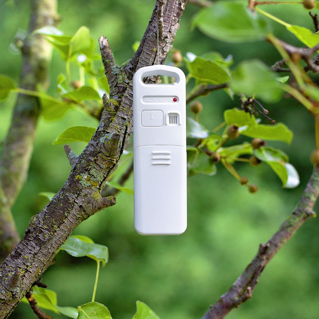 Color Weather Station with Temperature, Humidity and Forecast V39610