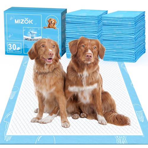 30 Counts Jumbo Disposable Dog Training Pads W3808