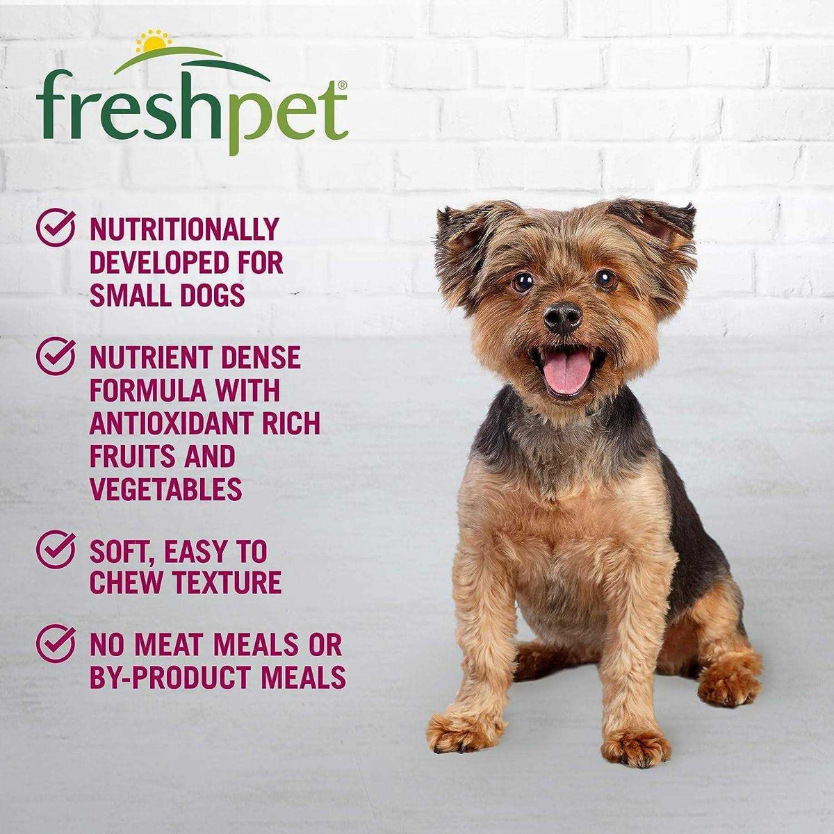 Chunky Beef Recipe Dog Food N67411