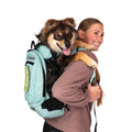 Pet Supplies E186248