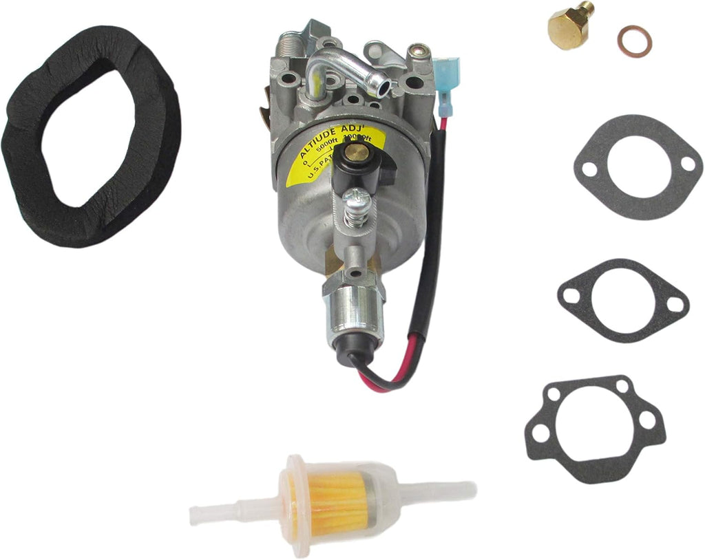 Carburetor for Cummins Onan Generator G2894