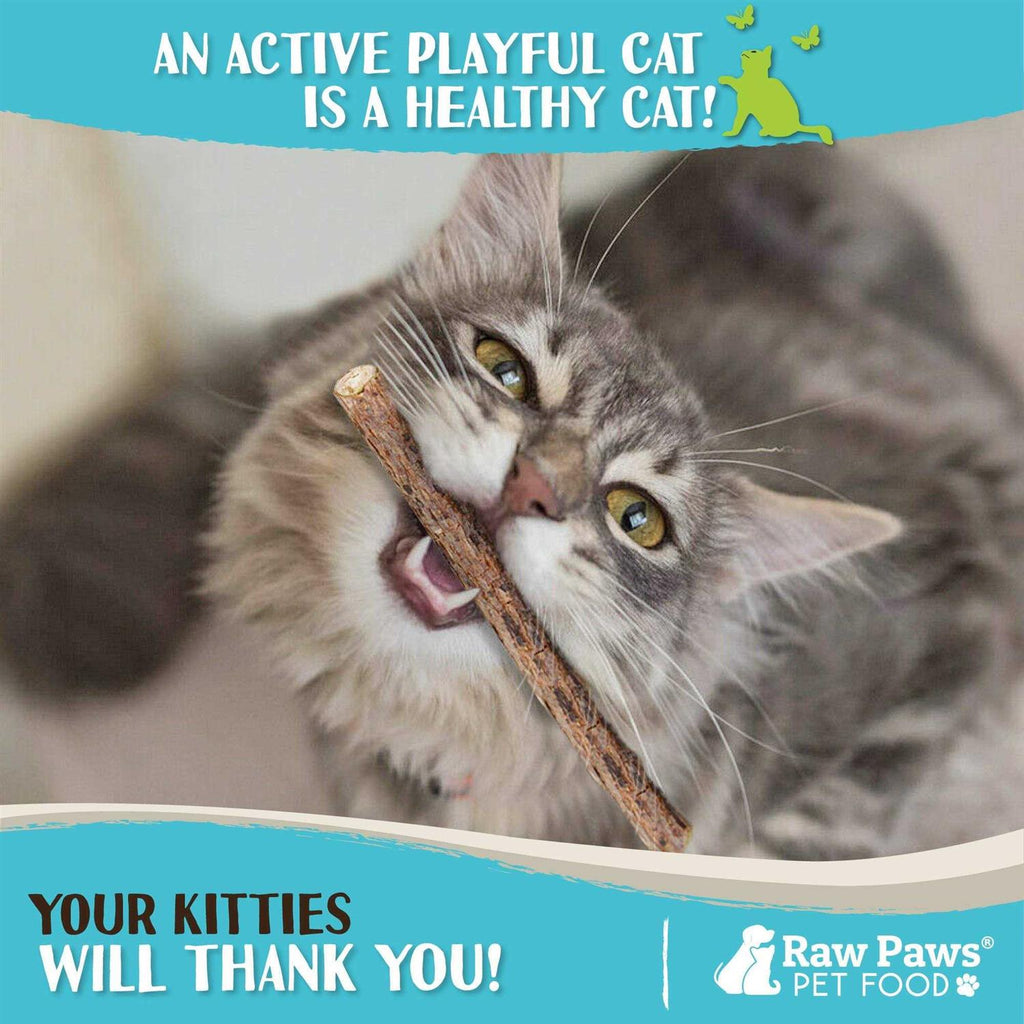 Silvervine Cat Toys N9953