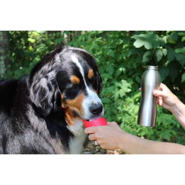 Stainless Steel Dog Water Bottle O66555