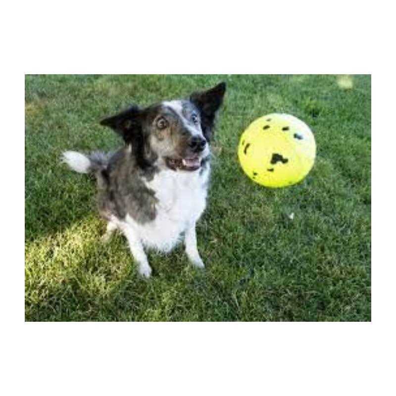 Reflex Ball Dog Toy M262