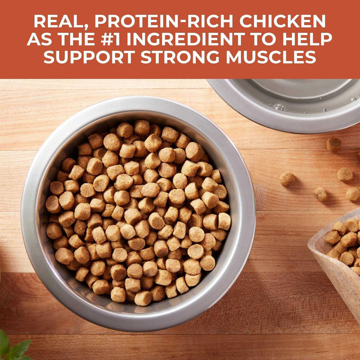 Chicken & Rice Dry Dog Food F12057