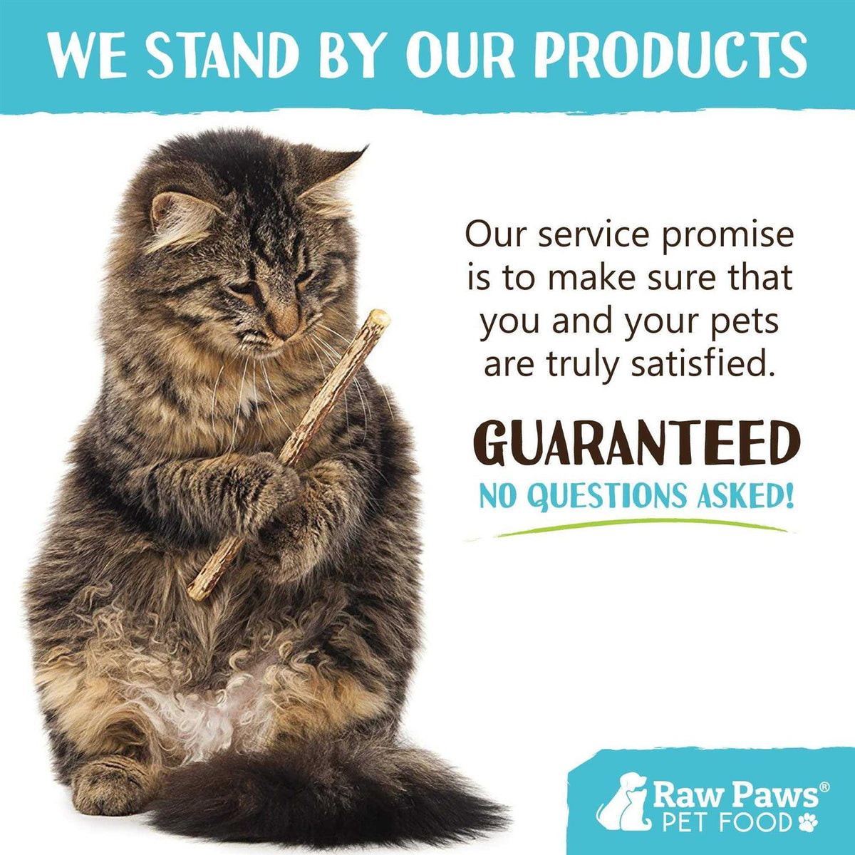 Silvervine Cat Toys N9953