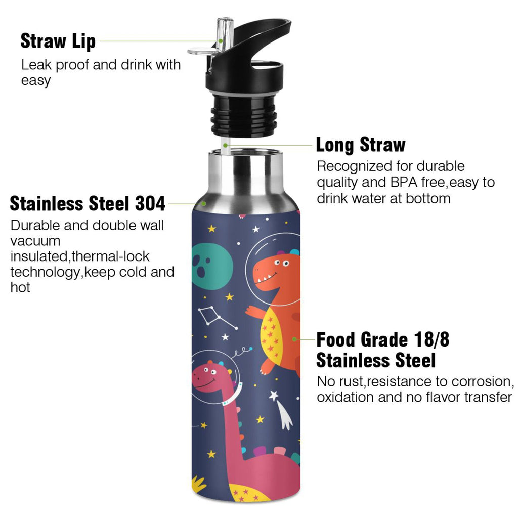Stainless Steel Insulated Water Bottle with Straw Lid H6944