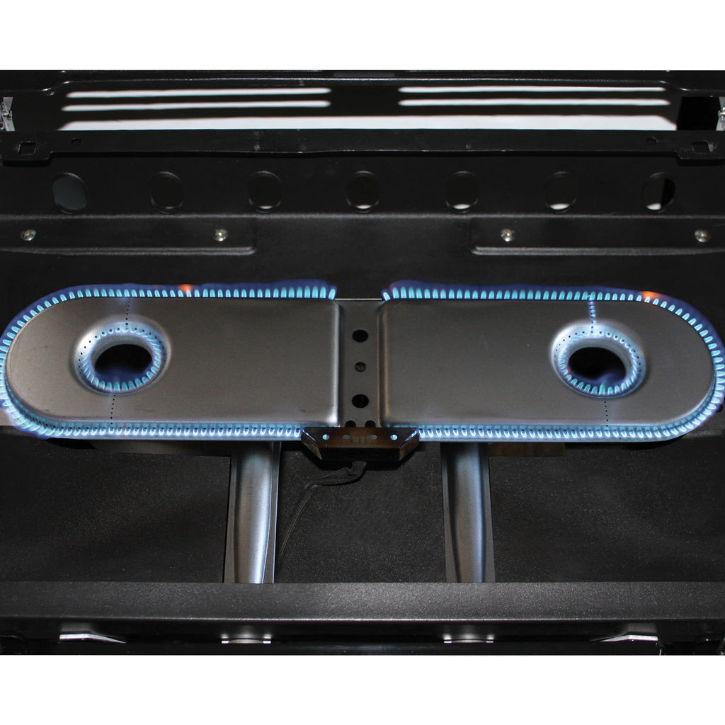2 Burner Propane Gas Portable Grill J407178