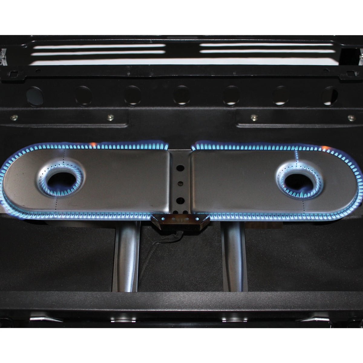2 Burner Propane Gas Portable Grill J407178