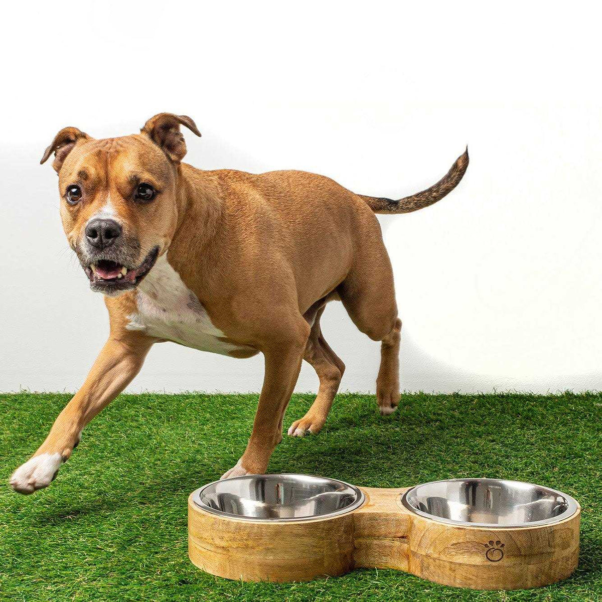 Wood & Metal Pet Feeder V57838