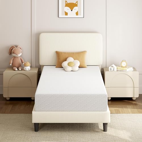 8 Inch Twin Foam Mattress X92937