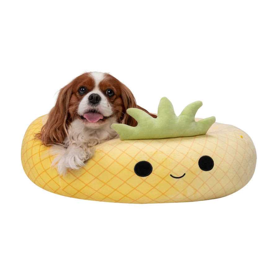 Pineapple Pet Bed B6300