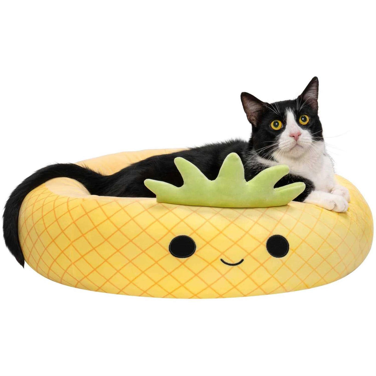 Pineapple Pet Bed B6300