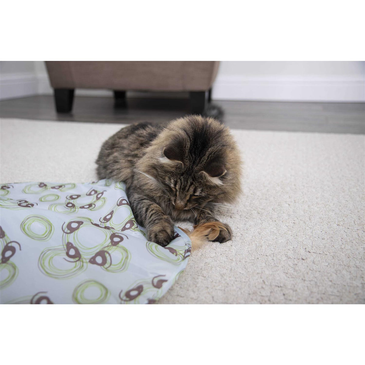 Cat Toy Y767