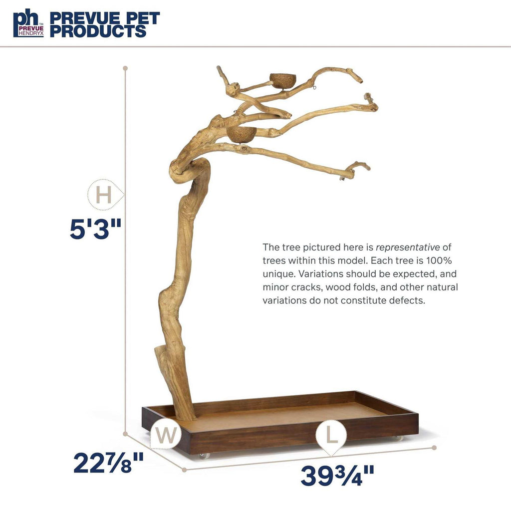 Coffeawood Tree Style Floor Stand Z595